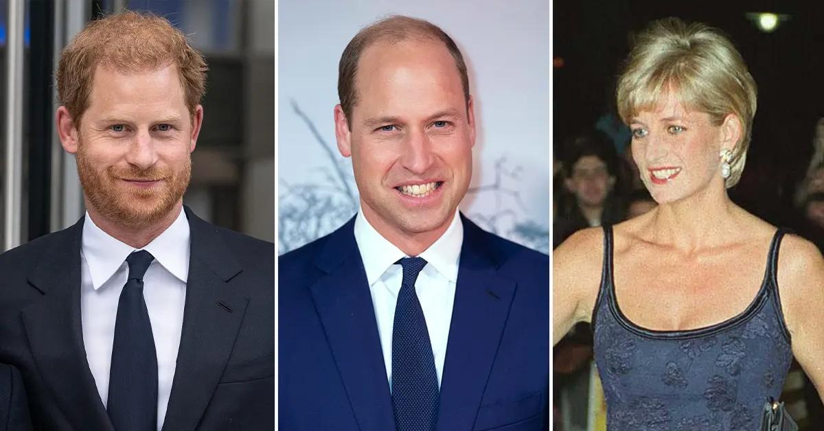 Prince William & Prince Harry Unite To Honor Late Mother Princess Diana