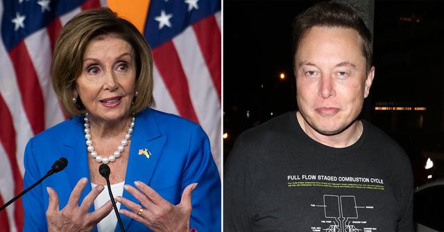 nancy pelosi elon musk pp