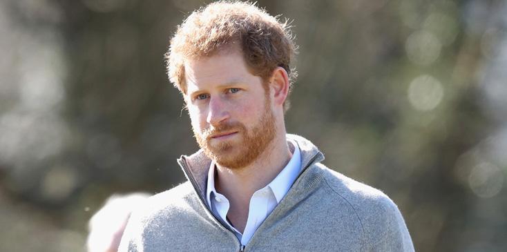 Prince Harry Visits The QCC Project In Epping Forest