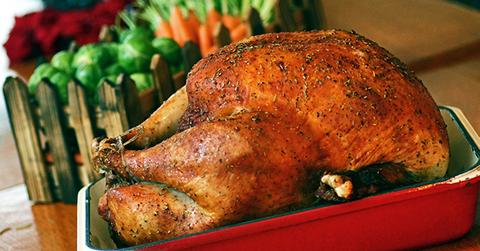 Thanksgiving turkey