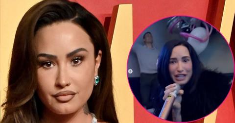 demi lovato rd birthday celebration karaoke