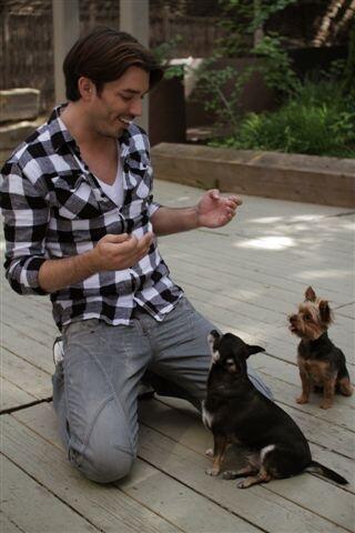 Jonathan Scott Dogs