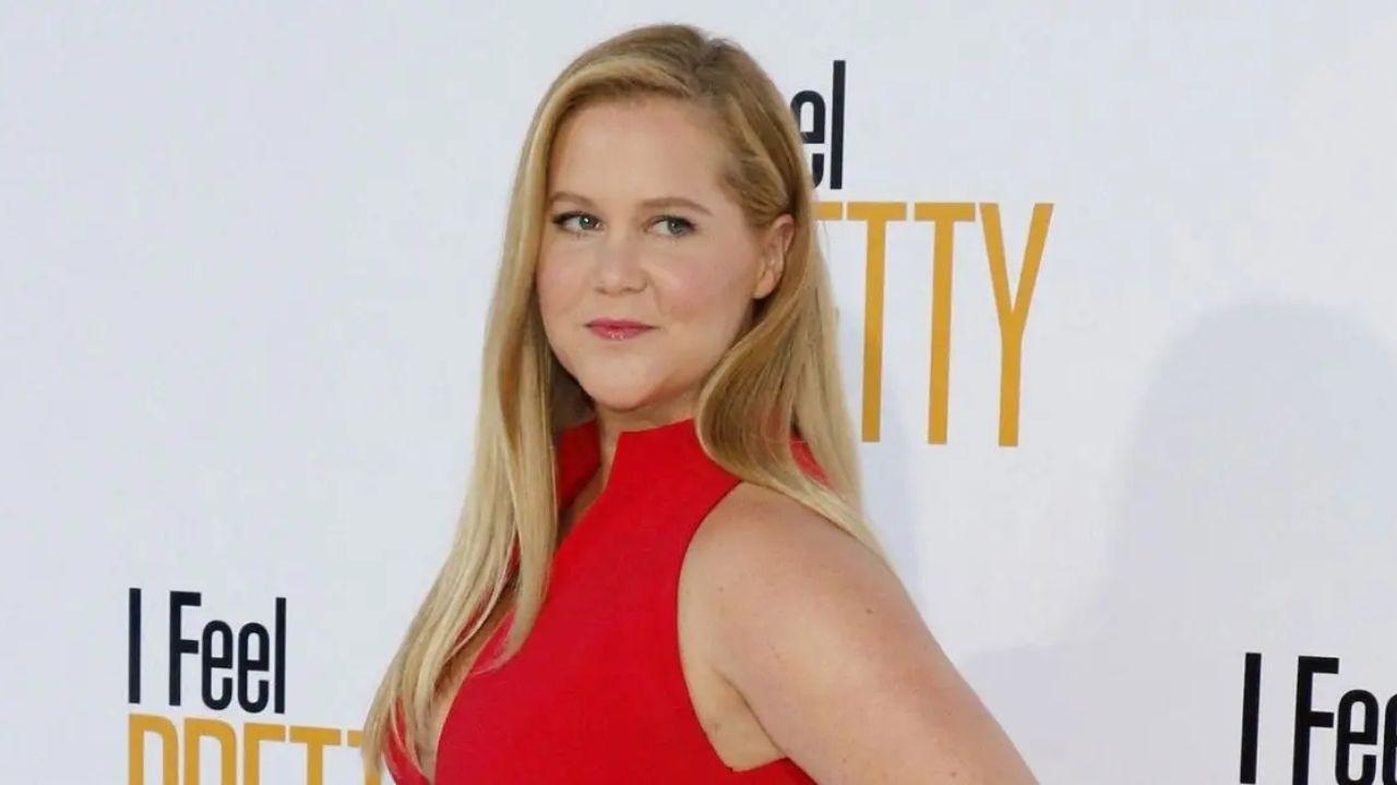Photo of Amy Schumer explained that she and Chris Fischer remained 'focused' on coparenting their son.