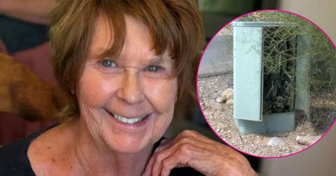 nancy guthrie damaged utility box probe