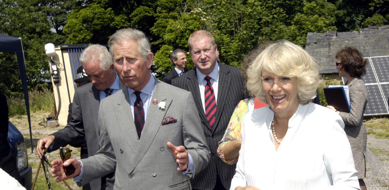 prince harry paranoid accusations queen camilla made duke despised outcast