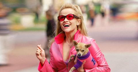 Reese Witherspoon as Elle in Legally Blonde