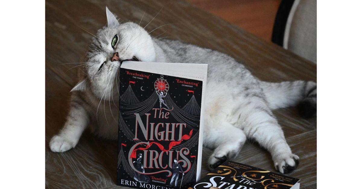 the night circus by erin morgenstern