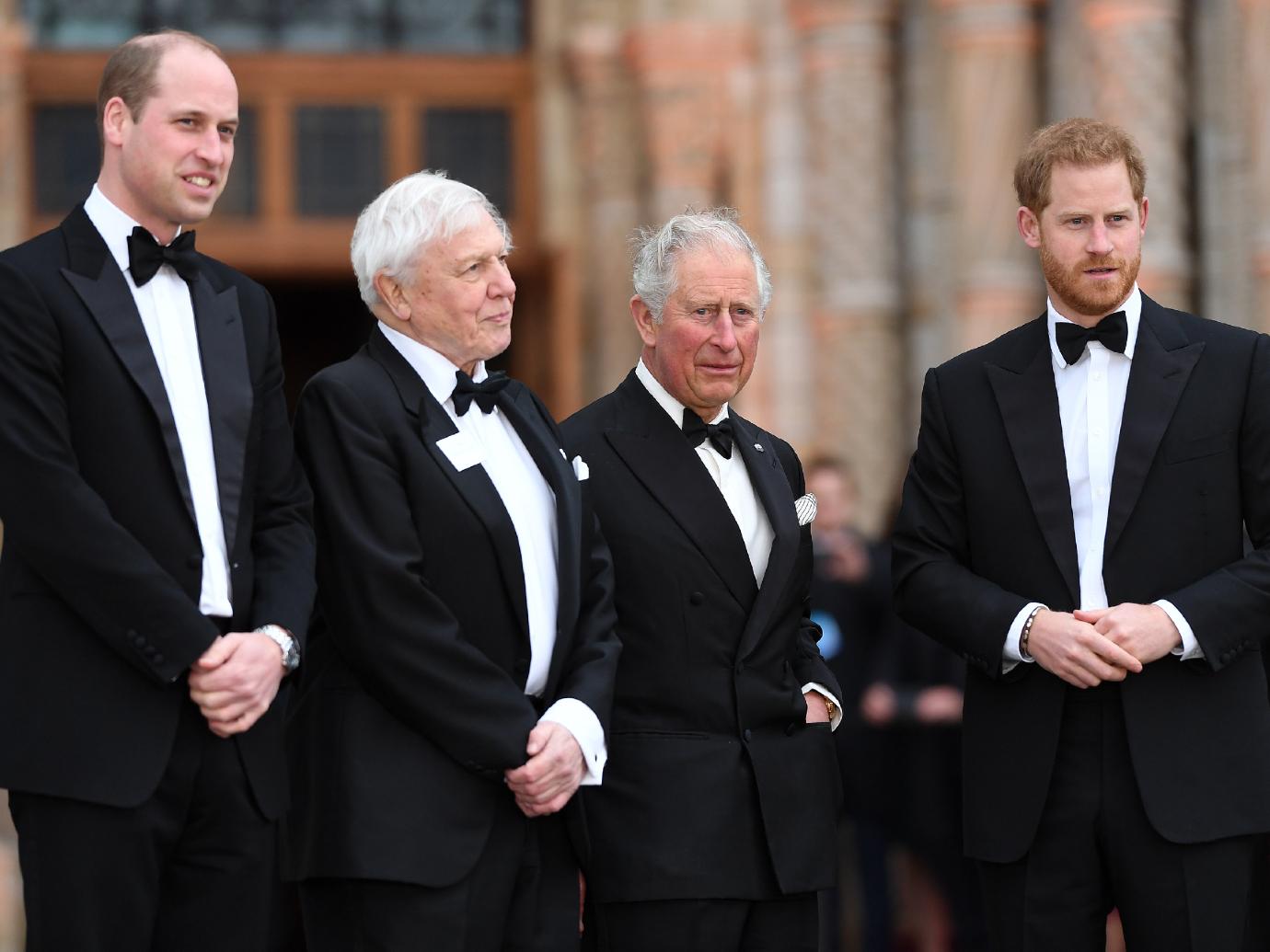 harry-william-charles-gallery-01