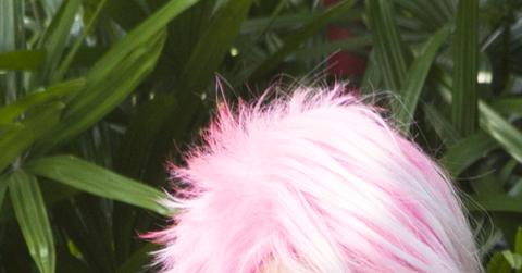 Environmental Portraiture On The Set Of MTV’s “The Challenge” – Phuket, Thailand