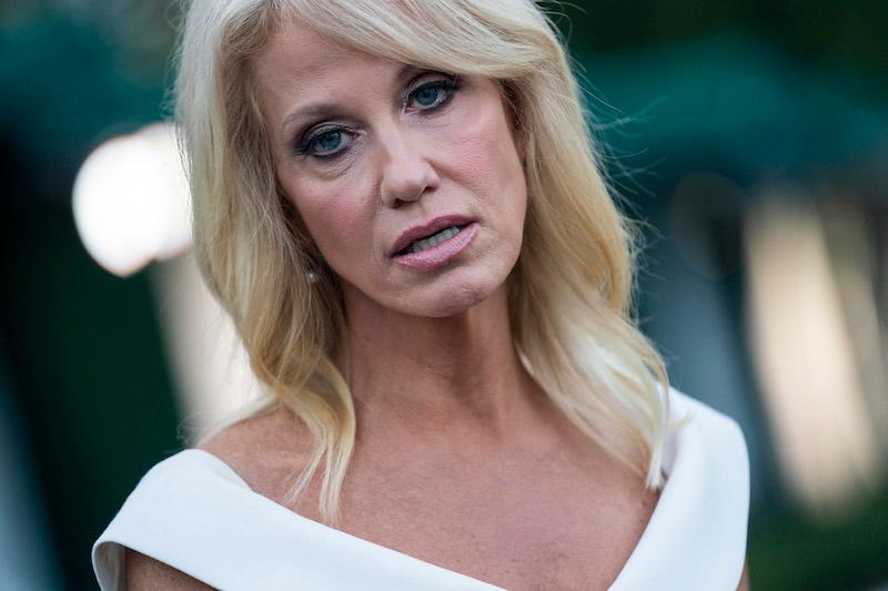 donald trum kellyanne conway safety