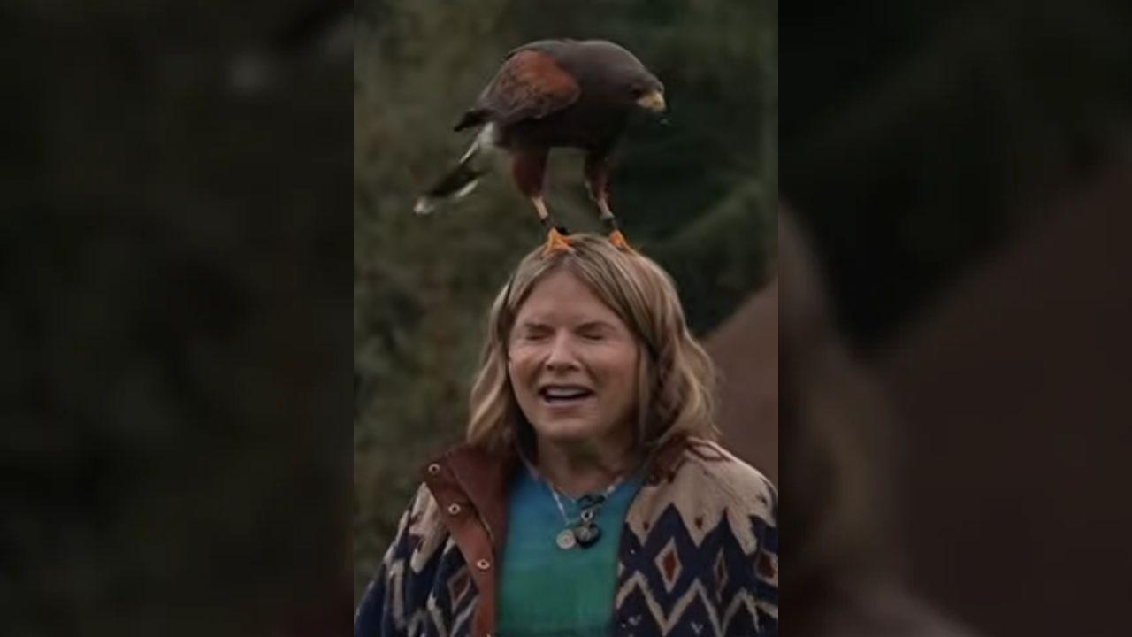 Image of the The falcon landed on top of her blonde hair.