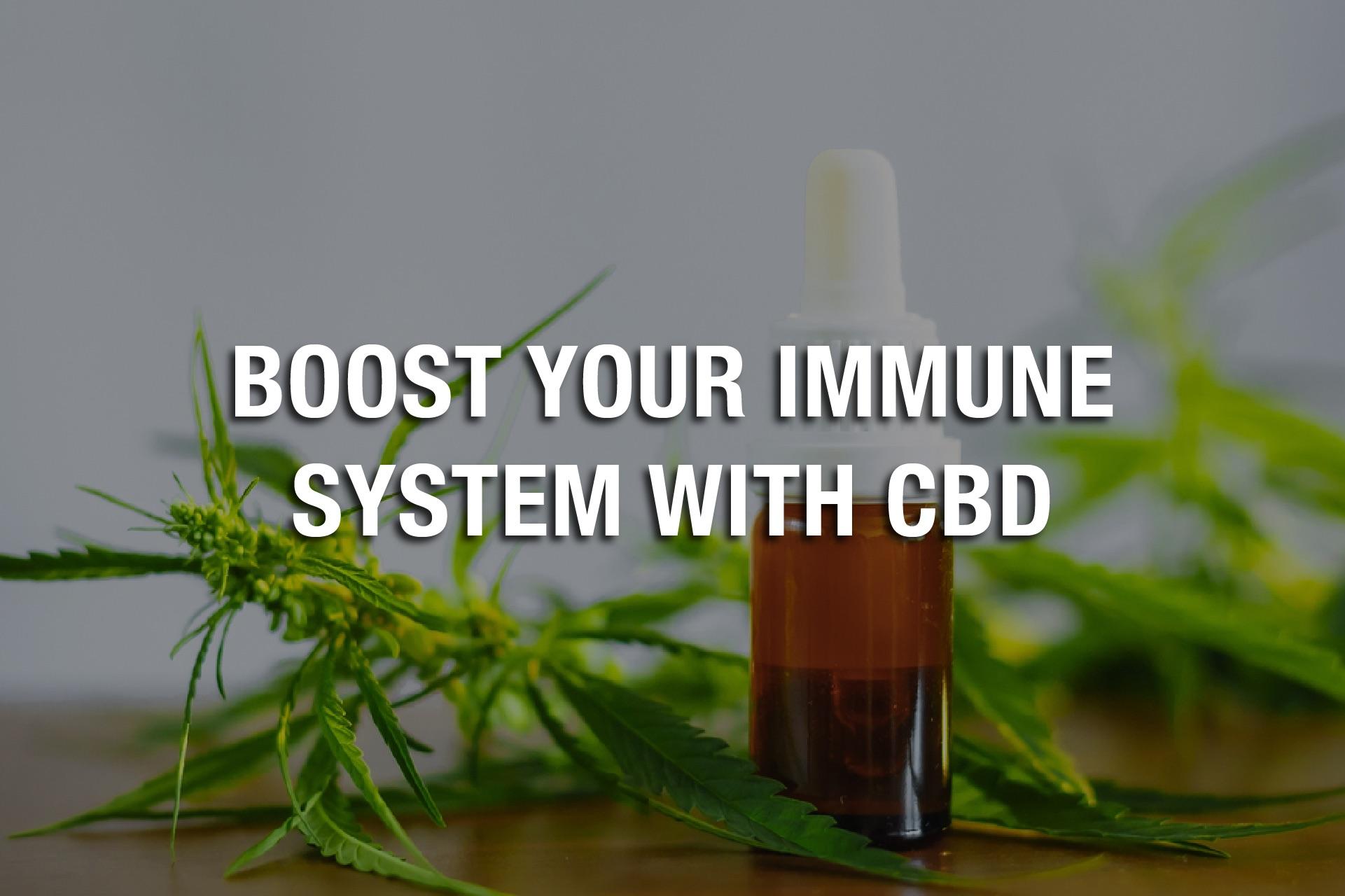 monday image the right cbd products