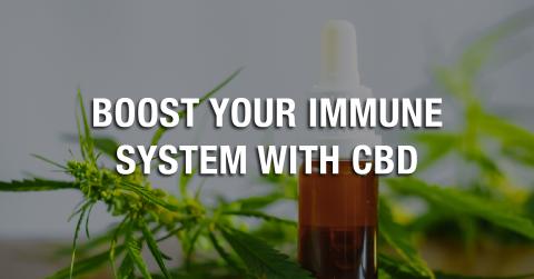 monday image the right cbd products
