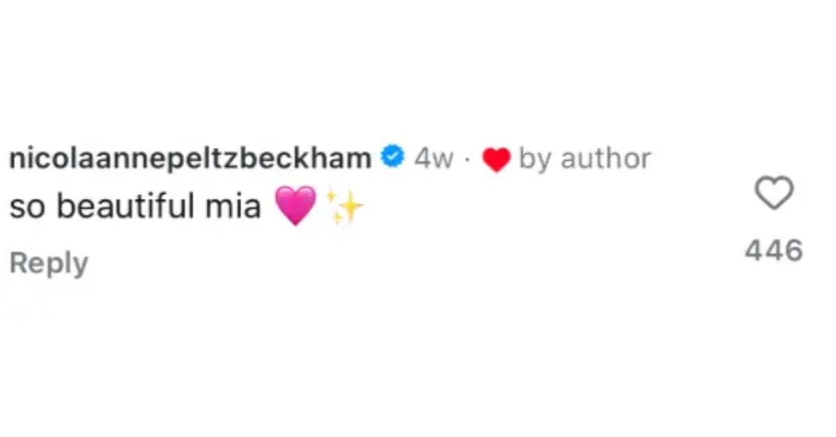 beckham family feud shade nicola peltz romeo cruz brooklyn