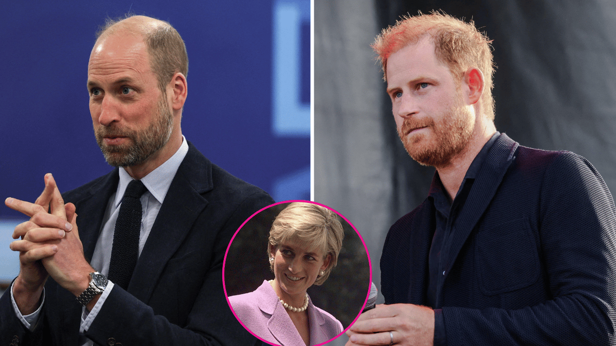 Photo of Prince William, Princess Diana, Prince Harry