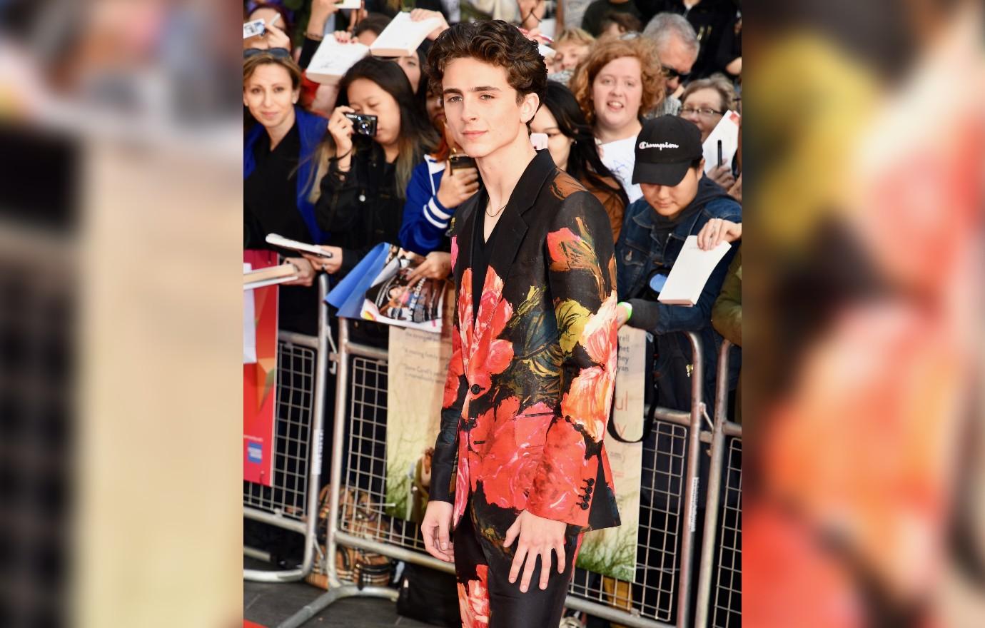 TImothee Chalamet's Most Daring Red-Carpet Looks From the Last 8 Years