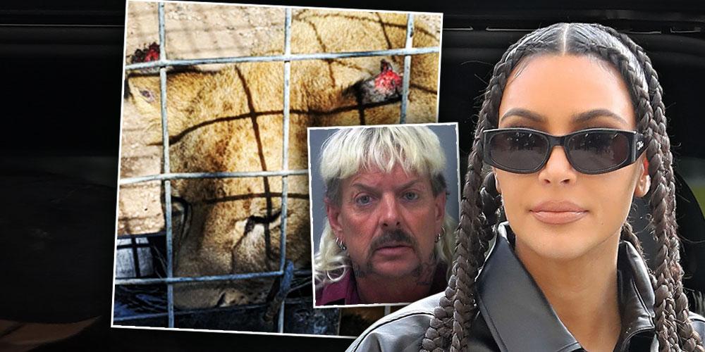 Joe Exotic Asks Kim Kardashian For Help In Getting Presidential Pardon