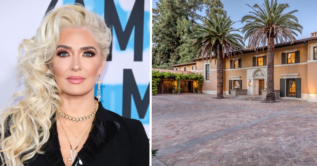 Erika Jayne's Financial Records Reveal She Spent $156K On Company With The  Same Name As Lisa Rinna's Daughters' Clothing Line!