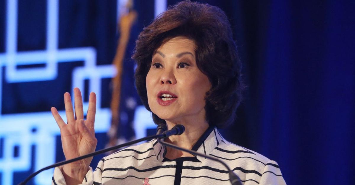 Who Is Mitch McConnell's Wife? 5 Things to Know About Elaine Chao