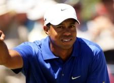 2010__01__Aget_tig 225×164.jpg