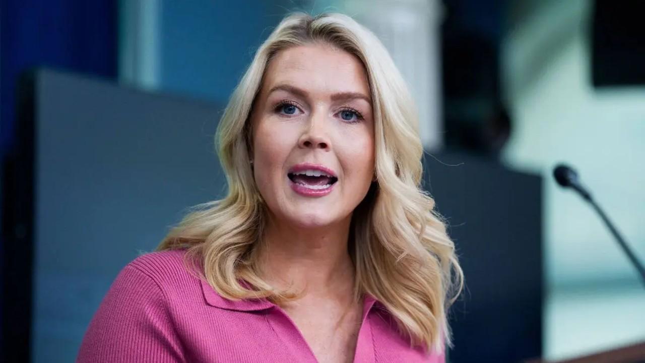 photo of Karoline Leavitt attacked 'radical Democrats' during her interview.