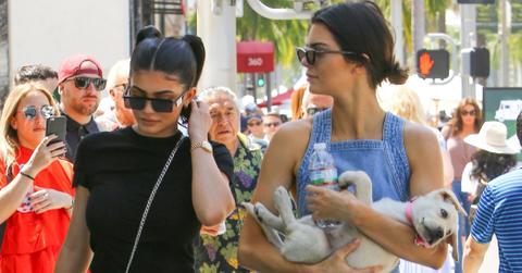Caitlyn Jenner Dog Kendall Kylie Photos Long