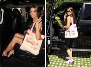 2010__09__BIOTIFULBAG 300×222.jpg