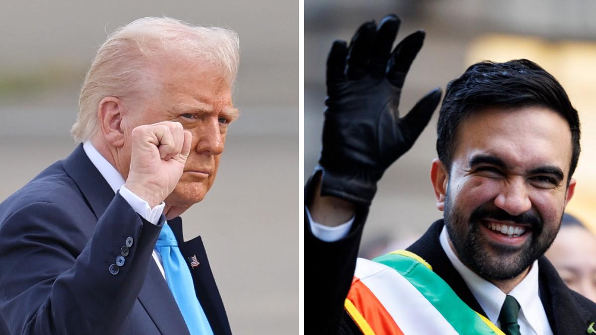 split of Donald Trump, Zohran Mamdani. 