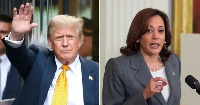 Split photo of Donald Trump and Kamala Harris.