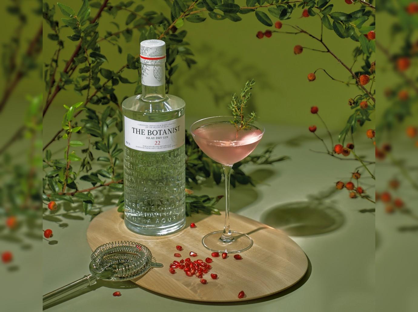 pomegranate martini_square_x