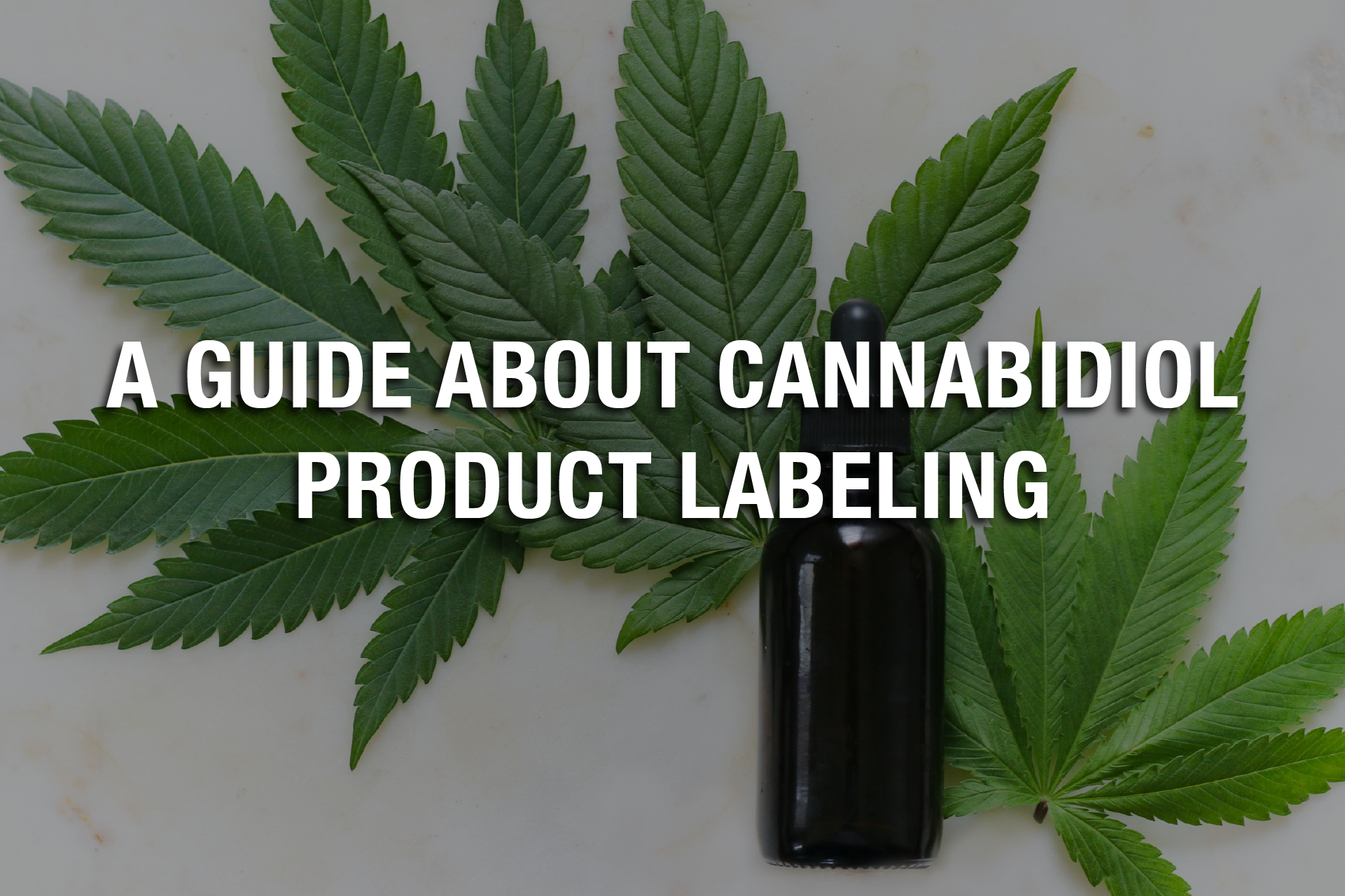 A Guide About Cannabidiol Product Labeling