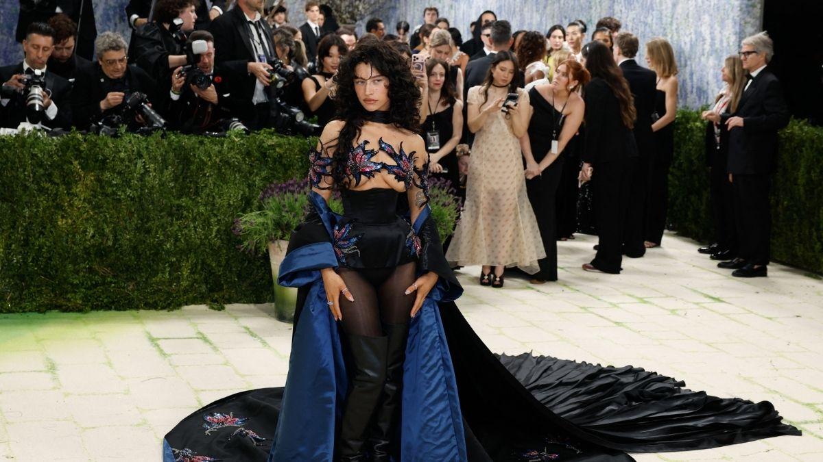 met gala  most daring naked gowns photos
