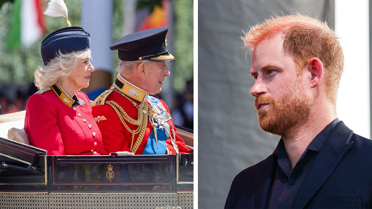 King Charles,Queen Camilla ,Prince Harry,Meghan Markle