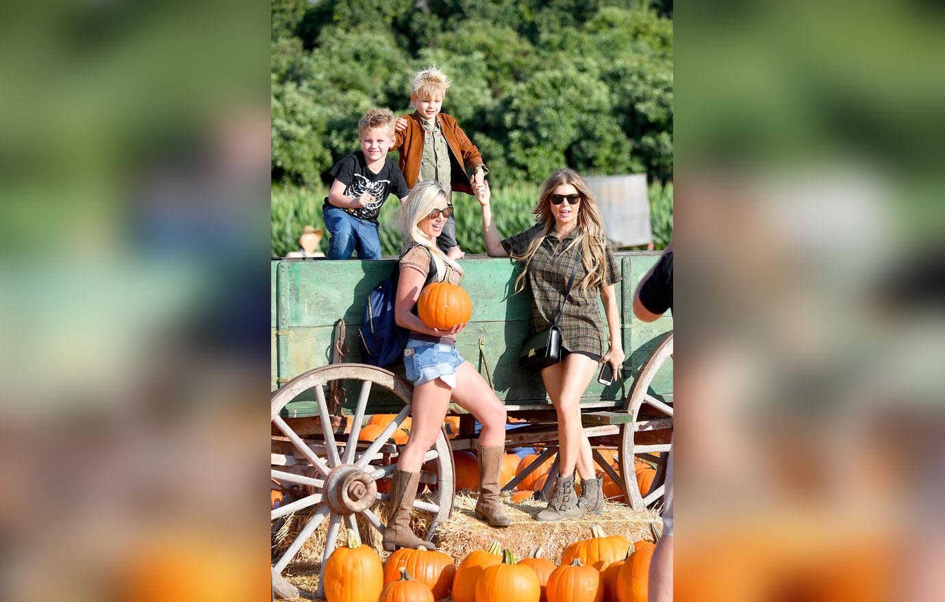 Fergie Pumpkin Patch 3