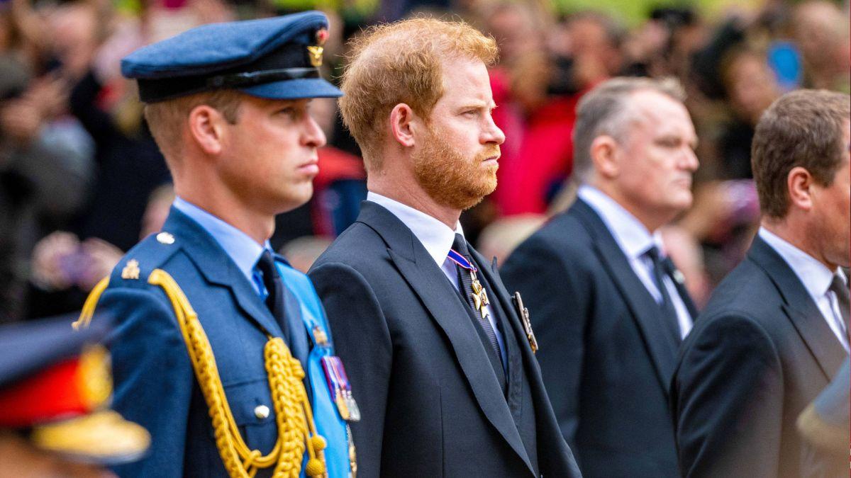 image of prince harry and prince William 