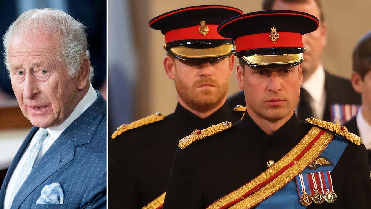 Split photo of King Charles, Princes Harry and William.