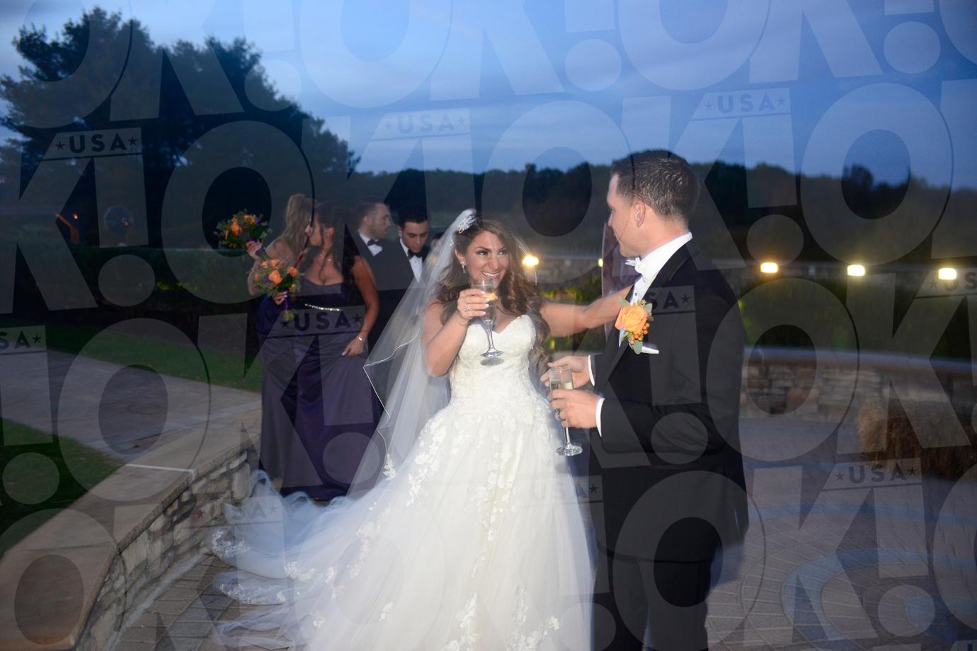 Deena Cortese Wedding Reception Party Pics 01