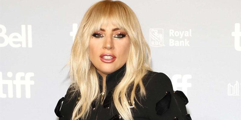 Lady gaga expanding family babies