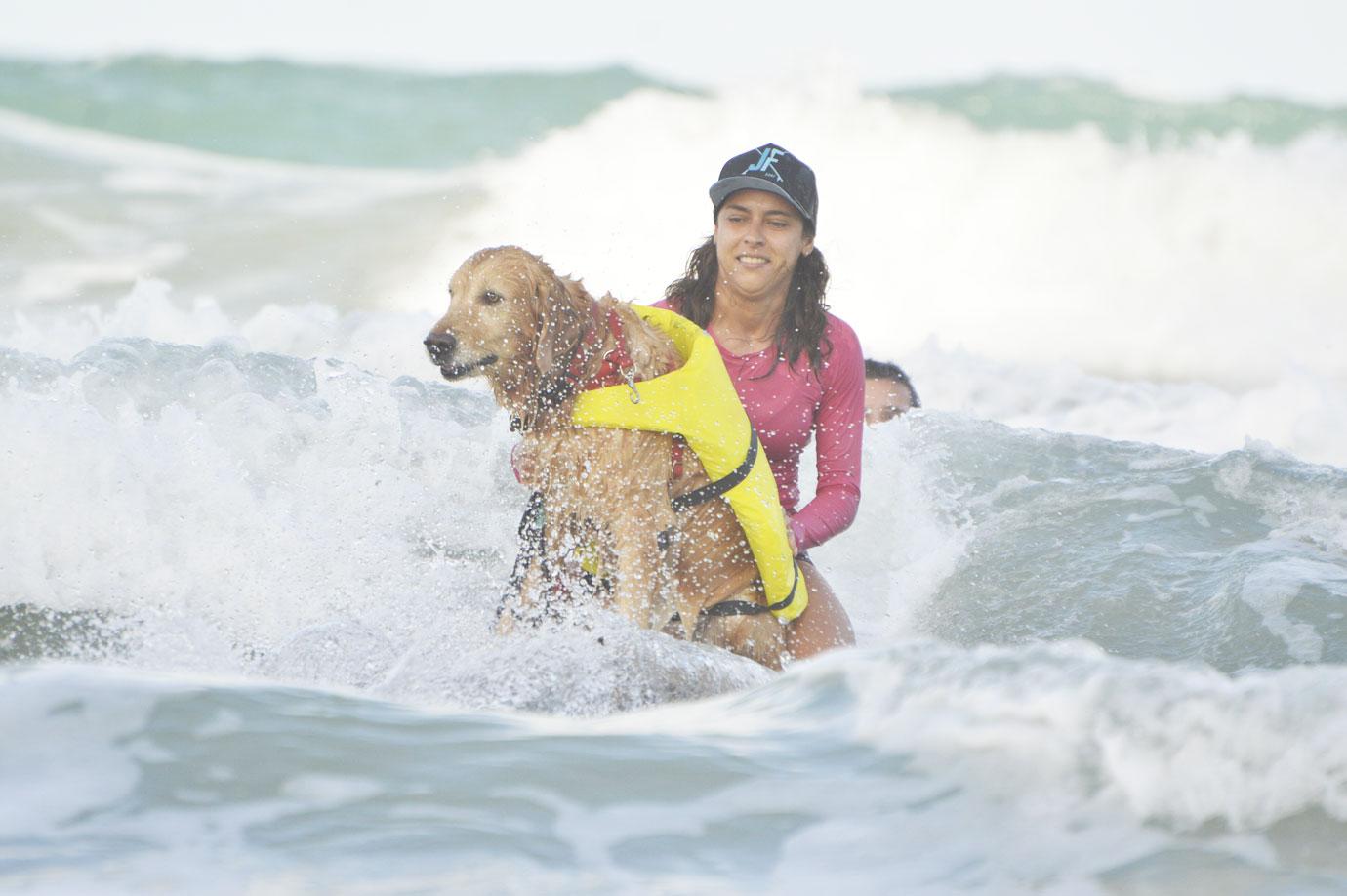 surf dog festival takes place on miami beach in natal