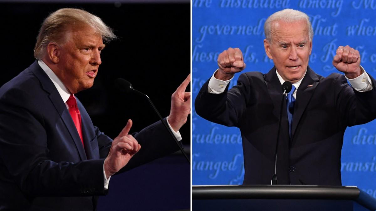 split of Joe Biden & Donald Trump. 