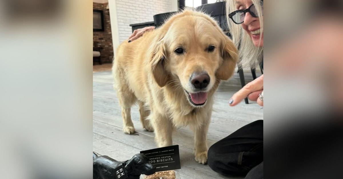 image of Diane Keaton posted with her dog in April.