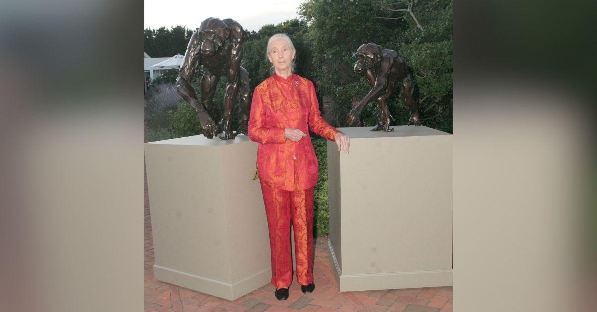 jane goodall life in photos animal welfare activist dead at