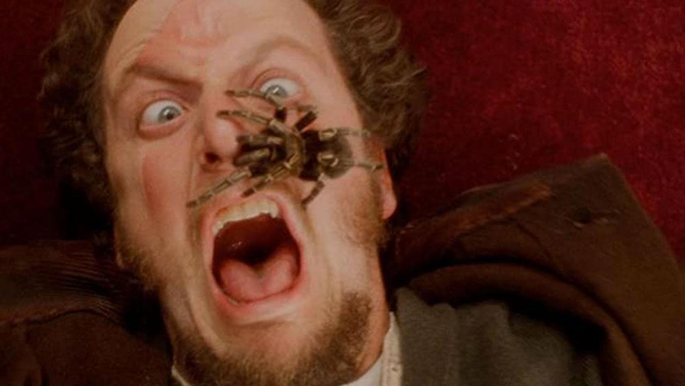 tarantula that walked across Daniel Stern’s face was rea