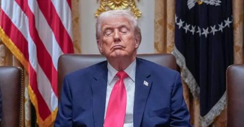 photo of donald trump