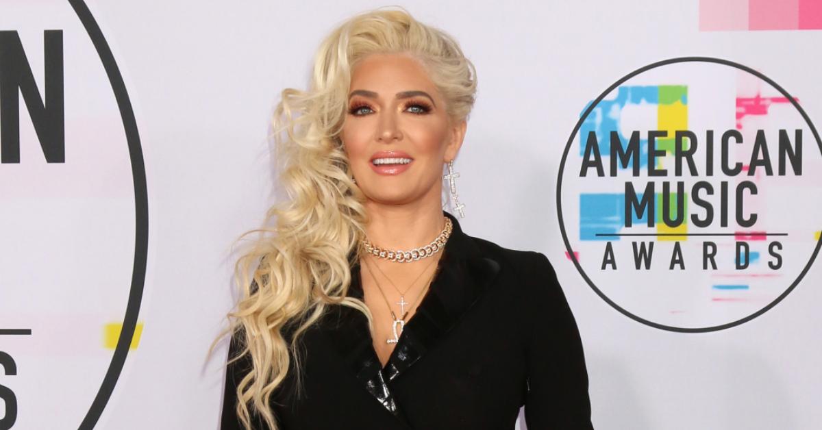 erika jayne accused shell company pp