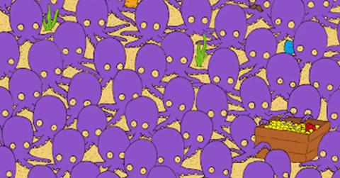 spot fish hiding among octopuses optical illusion seconds