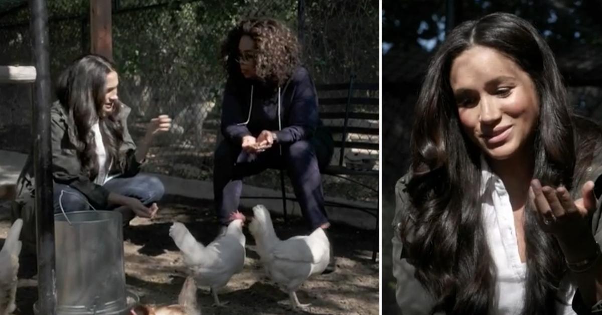 meghan markle prince harry oprah winfrey feeding chickens pf