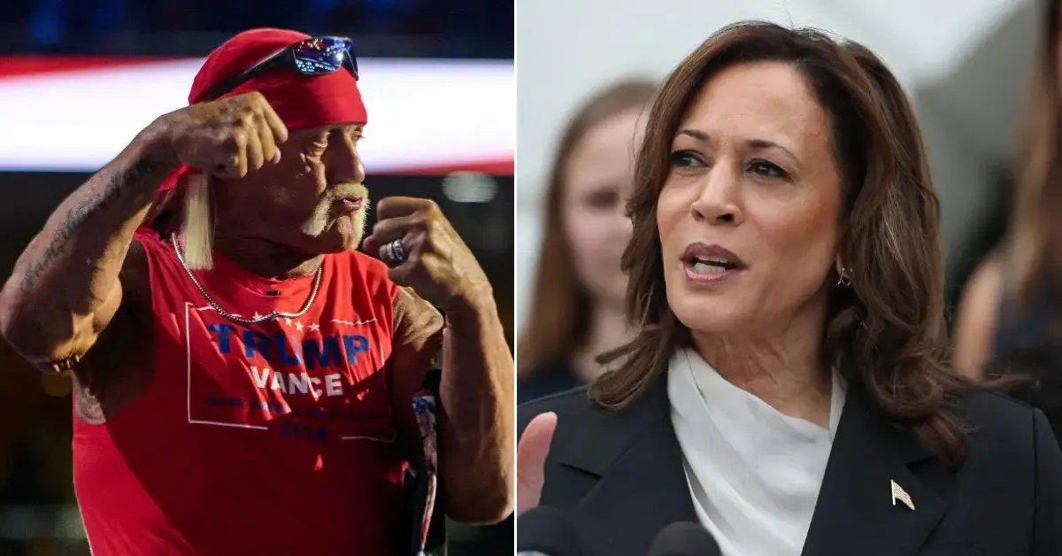 Photo of Hulk Hogan was criticized for asking if he should 'body-slam' Kamala Harris.