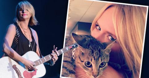 Miranda lambert adopts kitten after divorce