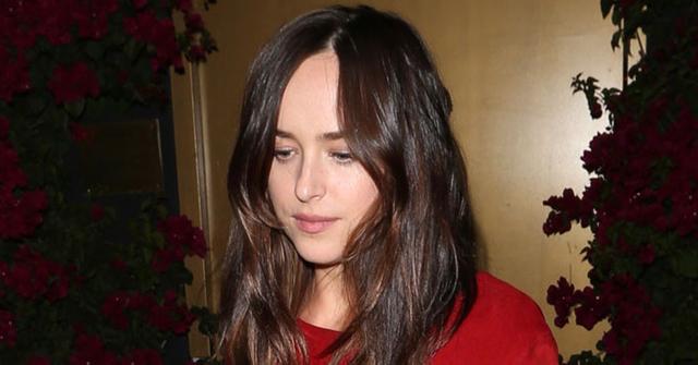 dakota johnson antonio banderas fight